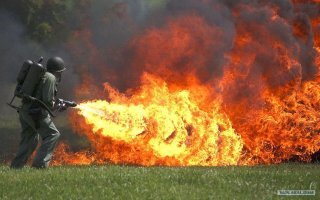 Лучшее средство от коронавируса