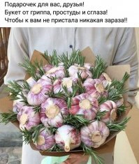 Прикольные и смешные картинки