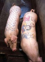 Комментарии в разных группах к постам