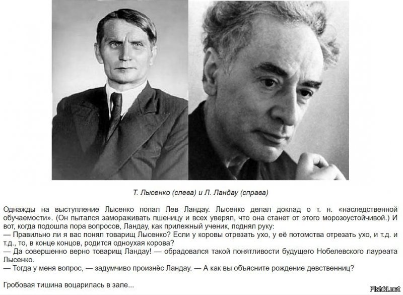 С утра "умного" надо корректировать...
Кстати, Лысенко был противником покорения целины и чрезмерного увлечения кукурузой. По иронии судьбы в те моменты, когда "народный академик" говорил дельные вещи, его никто не хотел слушать.