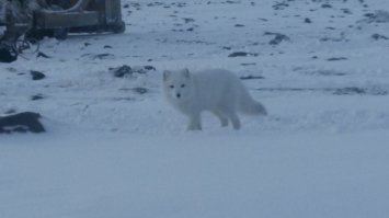 Всё в разнобой