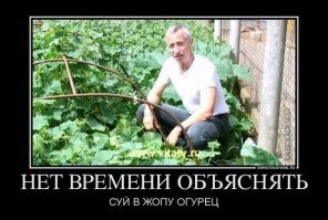 Прикольные и смешные картинки