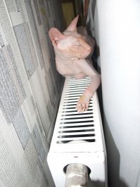 отдыхаю на курорте