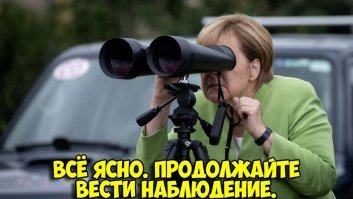 Напряженность на муравьино-термитной границе