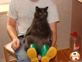 Взрослая жизнь...