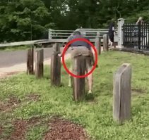 Бля, аж у самого бейцы свело!