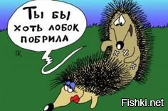 Солянка от 31.01.2020
