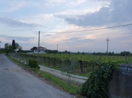 Народ фотографируйте, что у вас за окном