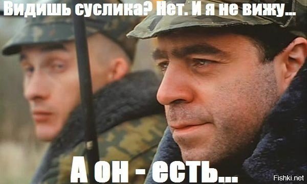 с днём сурка, товарищи