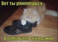 Он тоже.