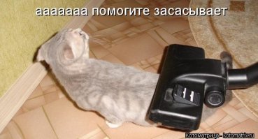 Прикольные и смешные картинки