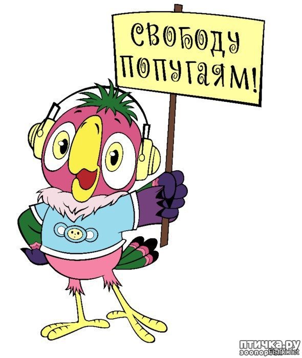 Политические скрины