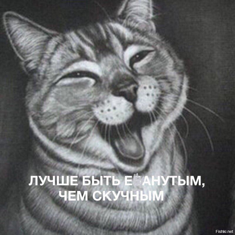 либералы красавцы, иначе не скажешь:
.