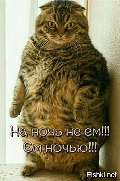 Солянка от 02.02.2020