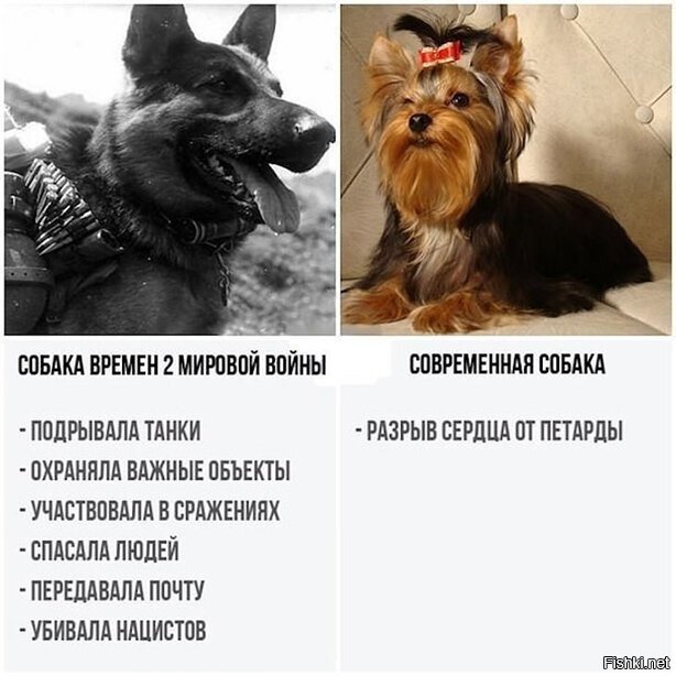 Атипичные