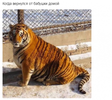 Вот как должен выглядеть самолет, который вернулся от бабушки!