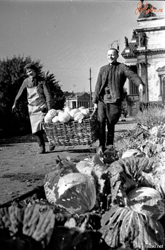 Обработка огорода, разбитого в сквере возле Исаакиевского собора. 1942 г.
Выращивание овощей на площади у Исаакиевского собора ...
Работники Н-ского госпиталя Е.Скарионова и М.Бакулин за сбором капусты...
Сбор урожая капусты у Исаакиевского собора...
Дети у грядок на набережной в Ленинграде...