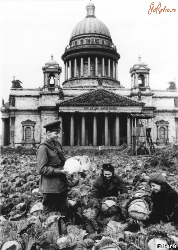 Обработка огорода, разбитого в сквере возле Исаакиевского собора. 1942 г.
Выращивание овощей на площади у Исаакиевского собора ...
Работники Н-ского госпиталя Е.Скарионова и М.Бакулин за сбором капусты...
Сбор урожая капусты у Исаакиевского собора...
Дети у грядок на набережной в Ленинграде...