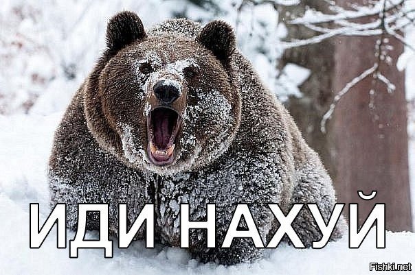 Милок твой в тебя сзади стучится. Надоел ты мне кремлебот.