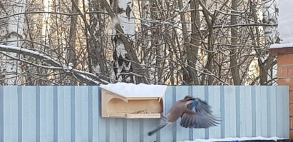 Народ фотографируйте, что у вас за окном