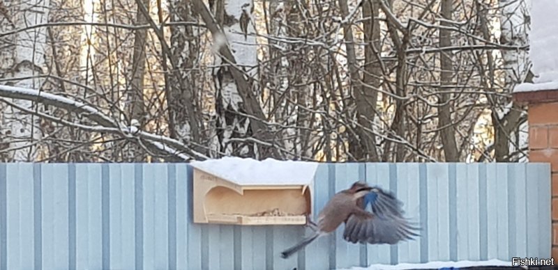 Народ фотографируйте, что у вас за окном