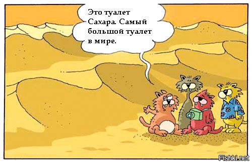 Пески времени или прогулка по пустыне Сахара