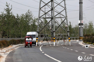 Смерть из глубины: эти существа чаще других нападают на отдыхающих морских курортов