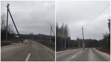 Смерть из глубины: эти существа чаще других нападают на отдыхающих морских курортов