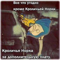 В гостях у кролика в норе