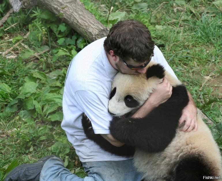 Совсем забыл про фотки.