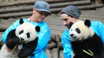 Совсем забыл про фотки.