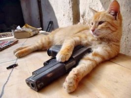 Когда хозяин - военный