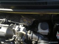 Дроссельная заслонка и кот. 



Давайте жить дружно.