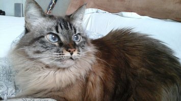 1999 года выпуска.