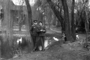 Я служил на Украине, в\ч 15421, Ивано-Франковск.
Основная черта западенцев, - хитрожопость; никаких признаков ненависти или вражды не было. Шёл на ивано-франковский рынок со смятым рублём, бабки насыпали куль черешни бесплатно, - кушай, солдатик.
По парку гуляли, лебедей кормили, Боярский приезжал, - в оцеплении на стадионе "Кристалл" стояли, всё тихо-мирно.