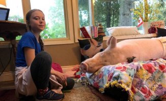 это все происки этой......девочки Туборг.....
.