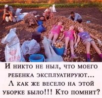 Как-то мы со школой поехали перебирать картошку на овощную базу. Там одной девчонке из параллельного класса, из-за газа выделяемого несвежей картошкой стало плохо. Её отвезли в больницу, где она скончалась. 
Веселуха ещё та, ухохочешься... 
Никого, кстати, не наказали.