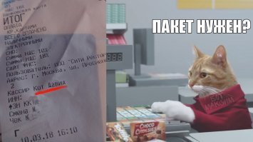 на полставки его