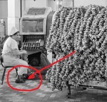 Чистота и гигиена.