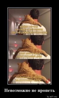 Прикольные и смешные картинки