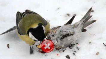 Прикольные и смешные картинки