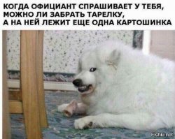 Прикольные и смешные картинки