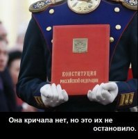 Добавить лавровый лист и перец по вкусу: о новых поправках в Конституцию