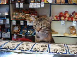 Что желаете?)))