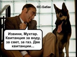 Прикольные и смешные картинки