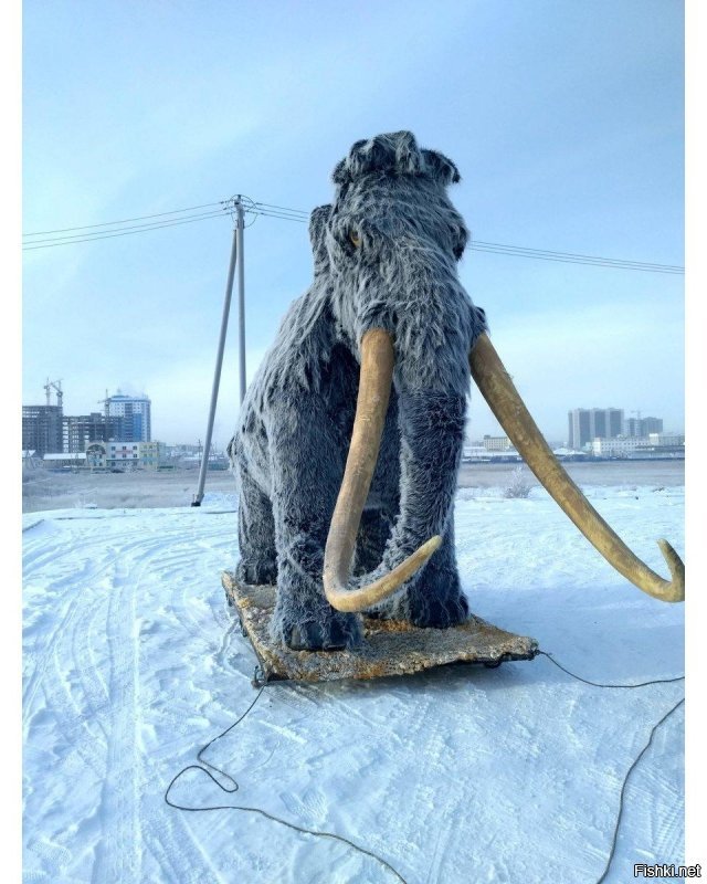 Солянка от 05.02.2020