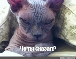 Прикольные и смешные картинки