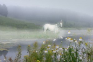 Задранные ножки: кто за, кто против
