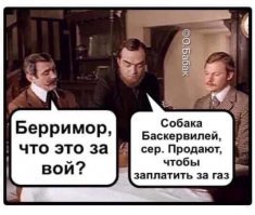 Прикольные и смешные картинки