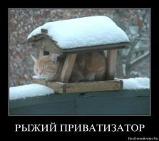 Немного солнца в нашу ленту!